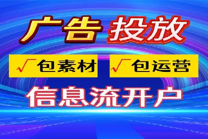 某知名企业SEM营销全案解析